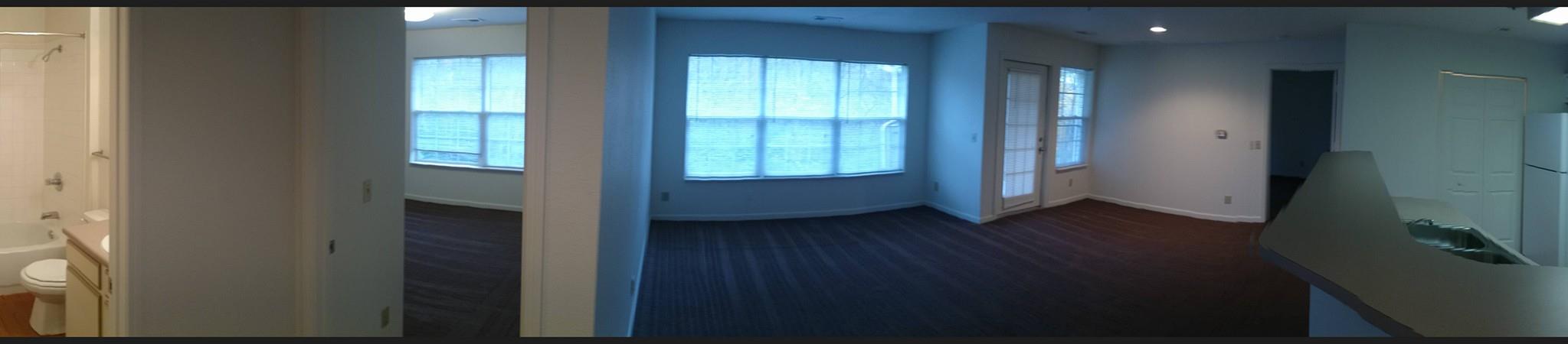 Commercial office space renovation — multiple rooms with blue-tinted walls and hardwood flooring